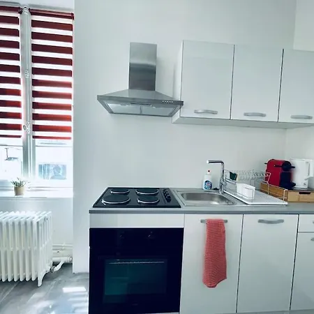 Le Cocon De Sasha - Hyper Centre - Climatisation - Proche Gare Daire *