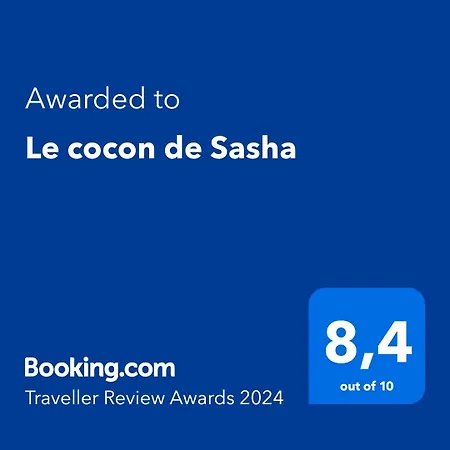 Le Cocon De Sasha - Hyper Centre - Climatisation - Proche Gare شقة