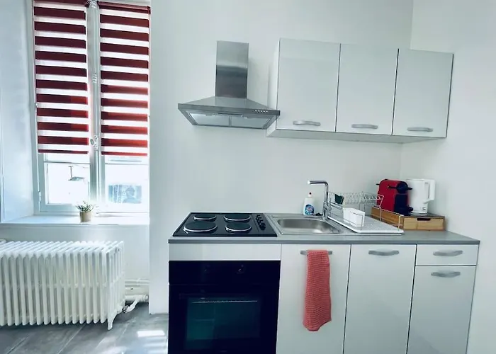 Le Cocon De Sasha - Hyper Centre - Climatisation - Proche Gare Daire *